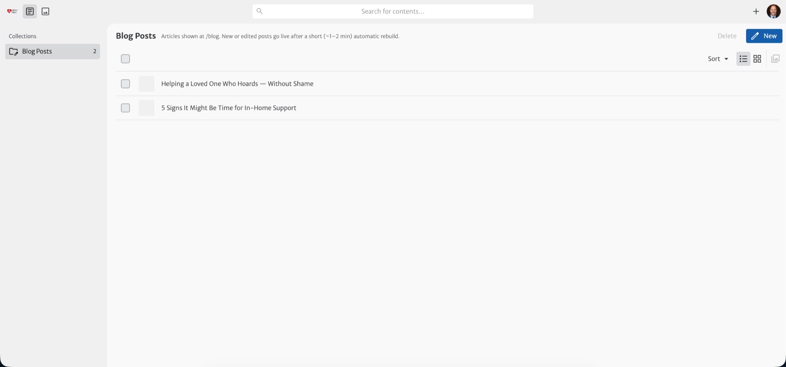 The blog editor after signing in — Blog Posts in the left menu with existing posts listed, and a blue New button in the top-right